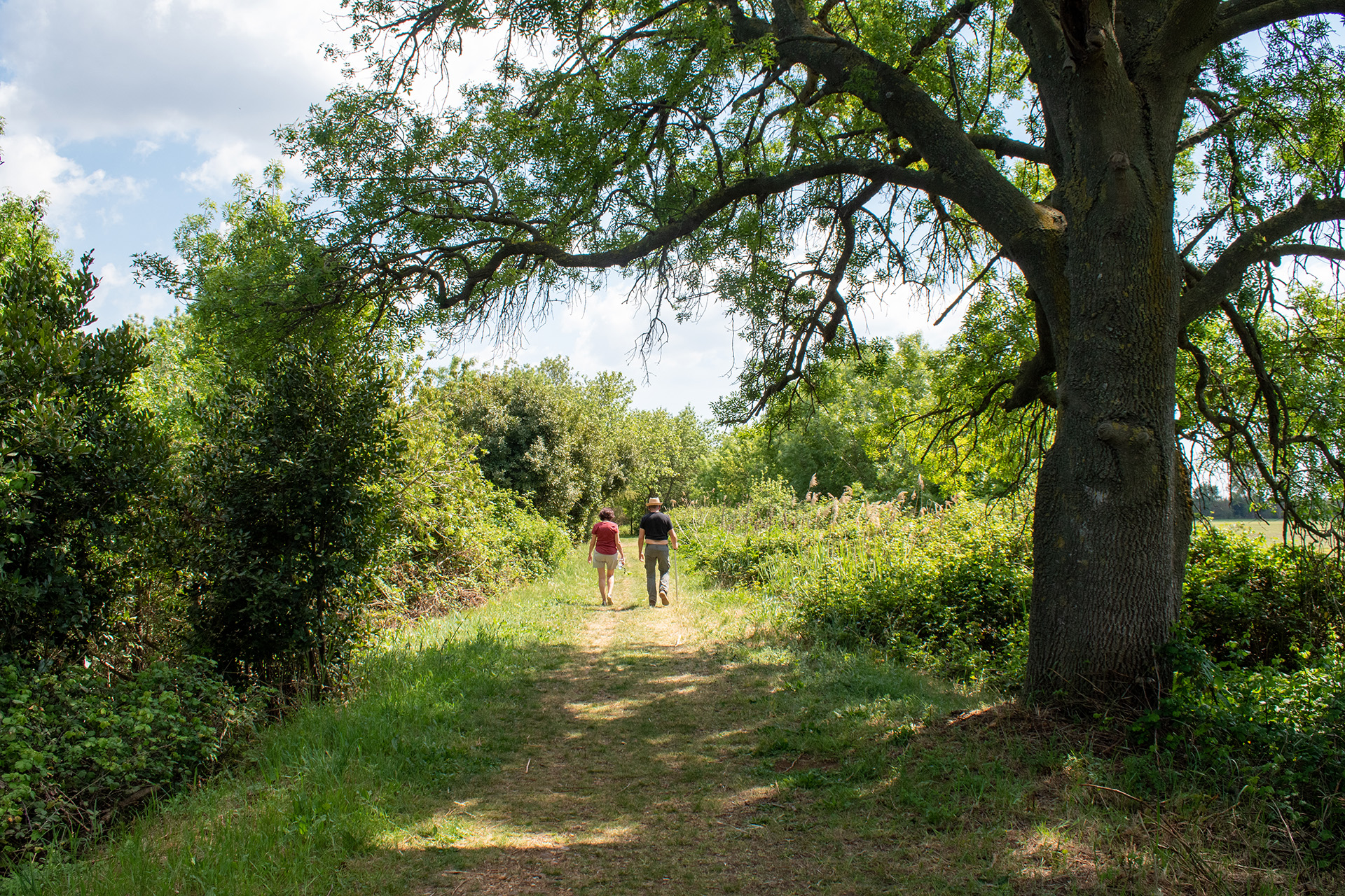 Couple se baladant sur le sentier du Cougourlier à Saint-Gilles dans le département du Gard