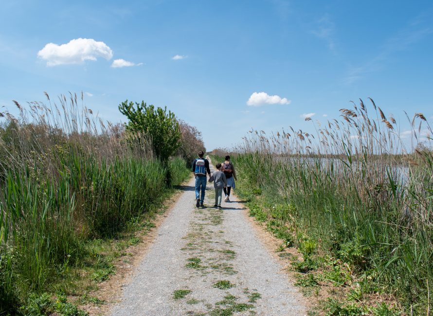 Famille qui se balade à Saint-Gilles porte de la Camargue