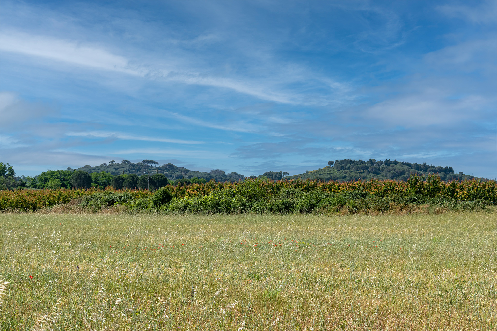 Photo des Puechs de Générac