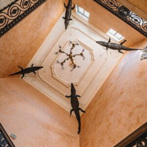 Vacances des 6-12 ans - Même pas peur du crocodile